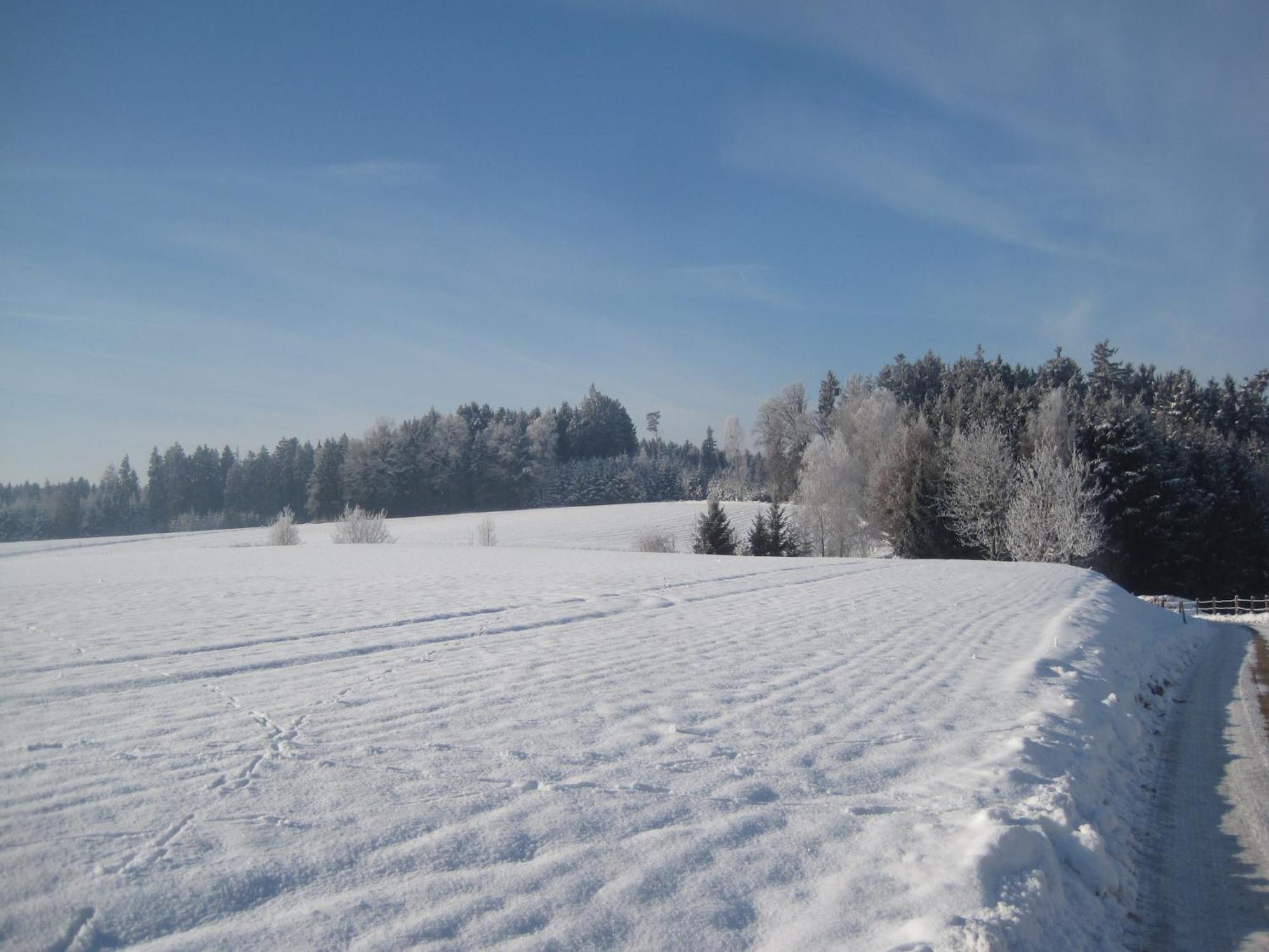 Comfortable Apartments In Rotthalm Nster Rotthalmuenster ภายนอก รูปภาพ