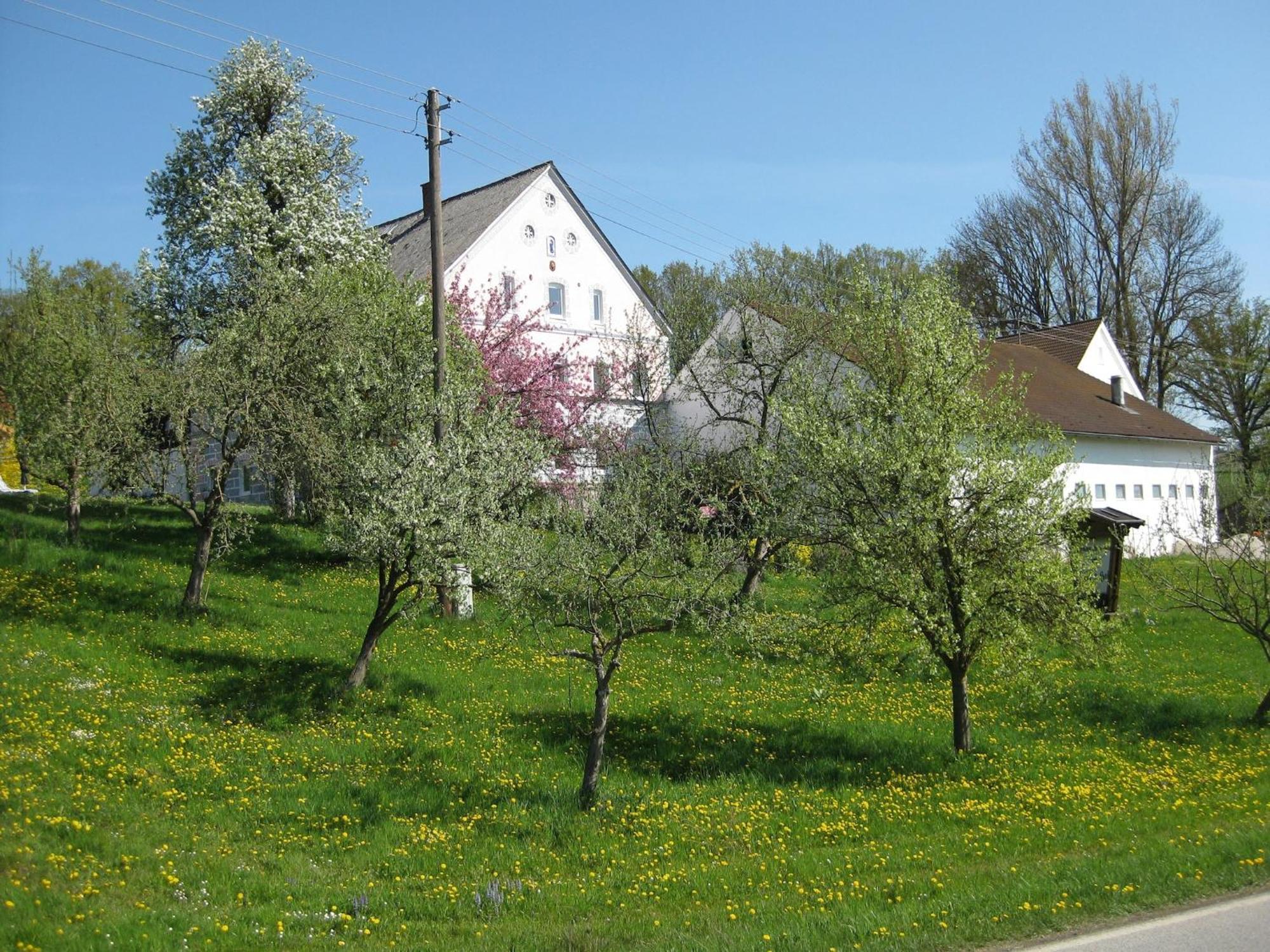 Comfortable Apartments In Rotthalm Nster Rotthalmuenster ภายนอก รูปภาพ