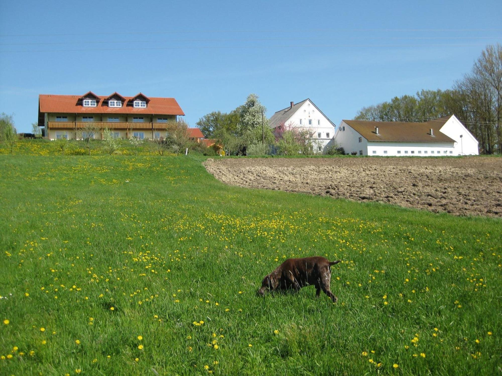 Comfortable Apartments In Rotthalm Nster Rotthalmuenster ภายนอก รูปภาพ